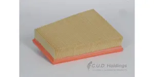 AG1368 Air Filter Qashqa1 1.6/2.0/ X Trail (GUD)