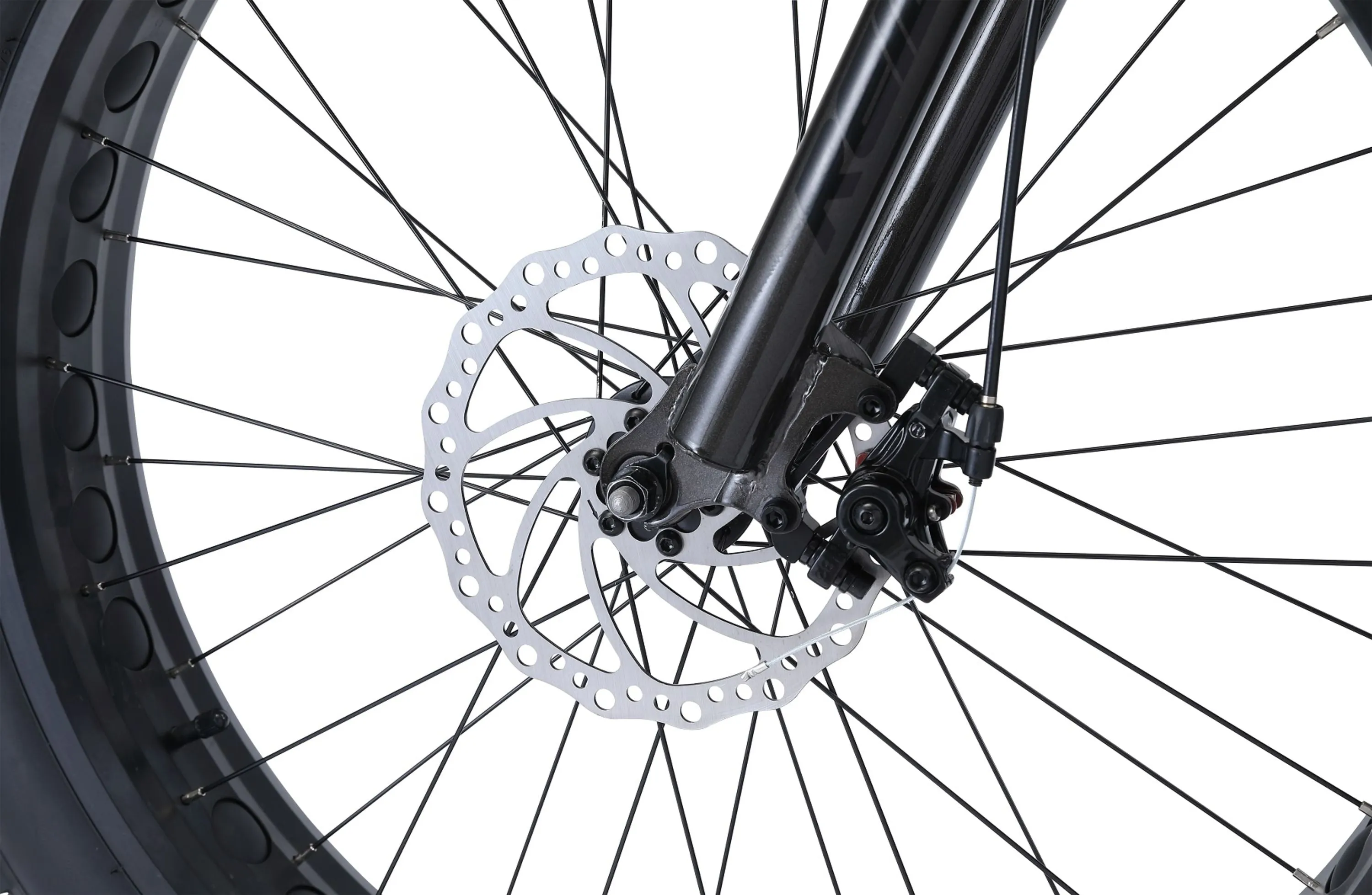 Alpha Fat Bike Charcoal