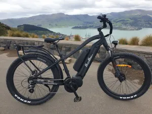 BUZZ BIKE TT Deluxe Mid Drive Duo Battery 27" X 3" BLACK