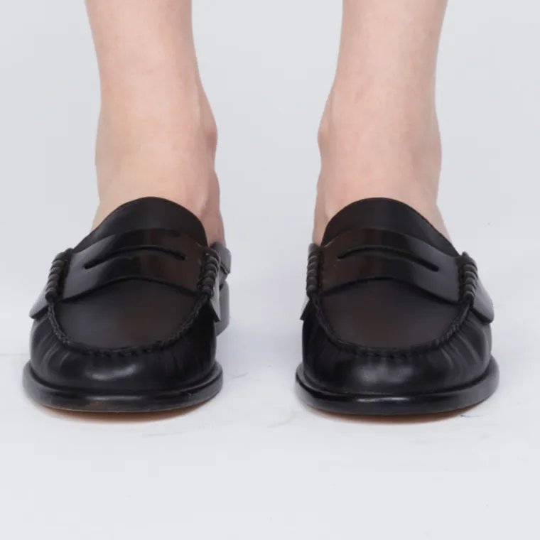 Carter Mule