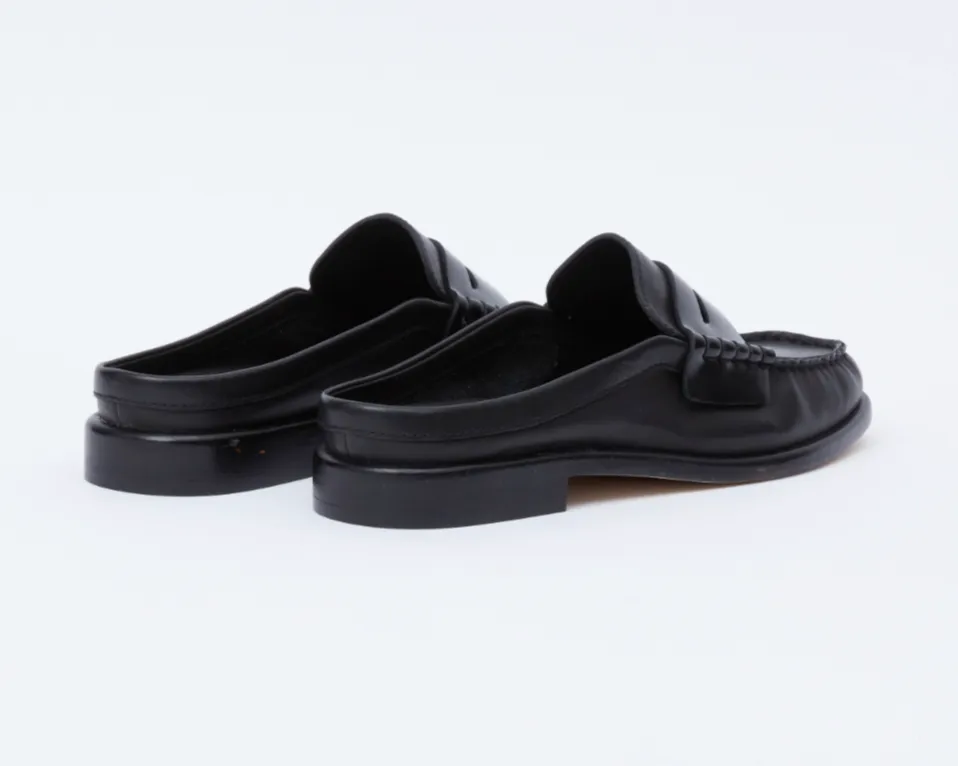 Carter Mule