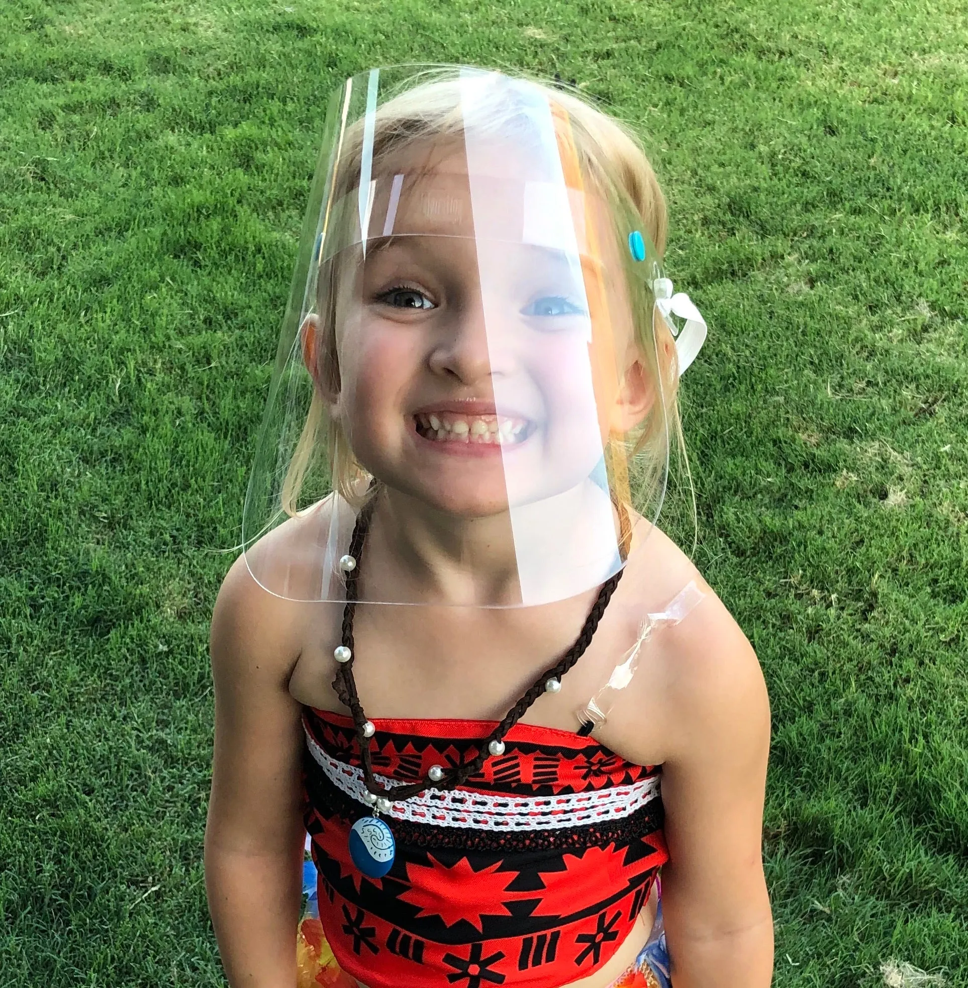 Face Shield