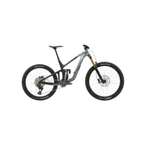 Giant Reign Advanced 1 MTB - Mercury/Raw Carbon