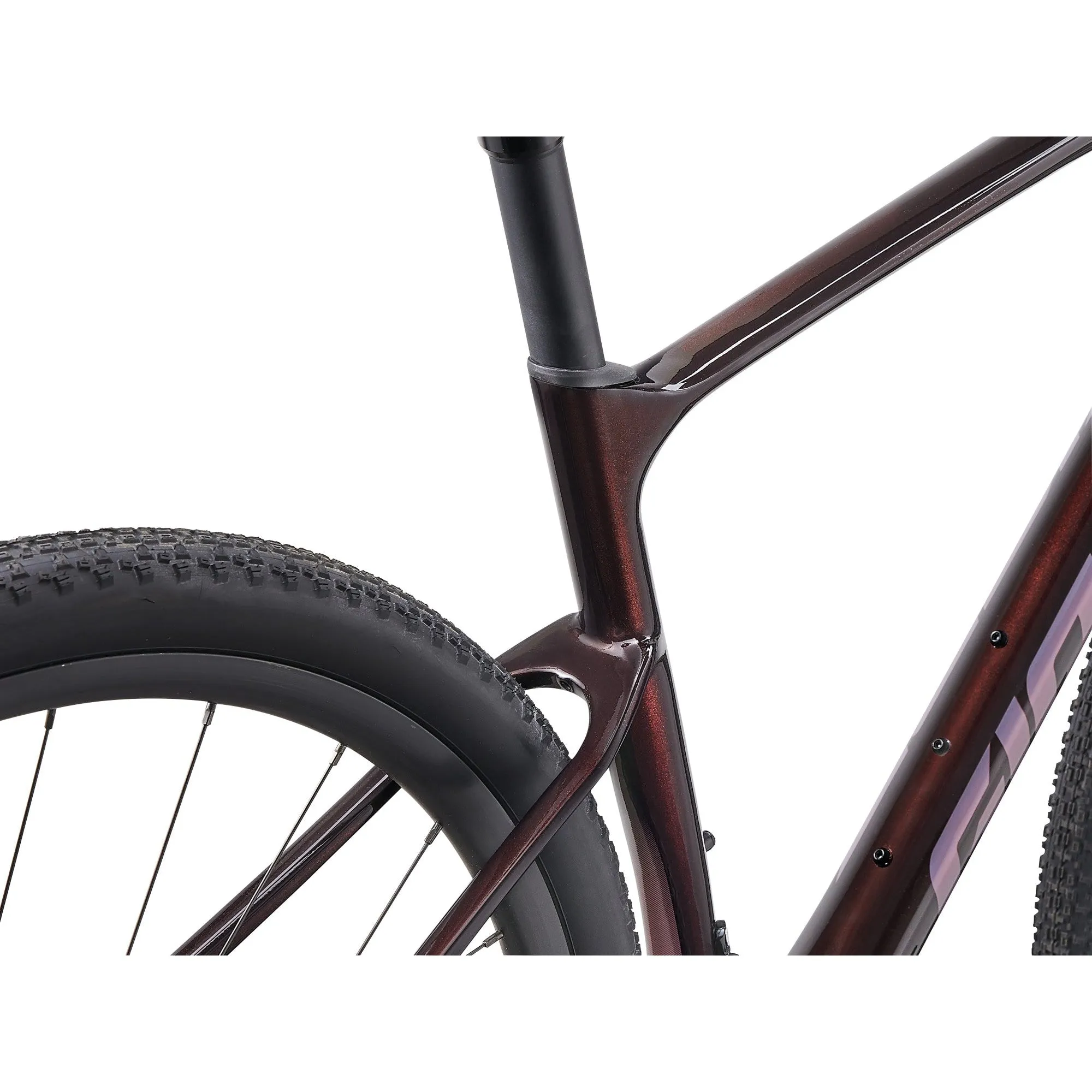 Giant Revolt Advanced 1 Gravel Bike