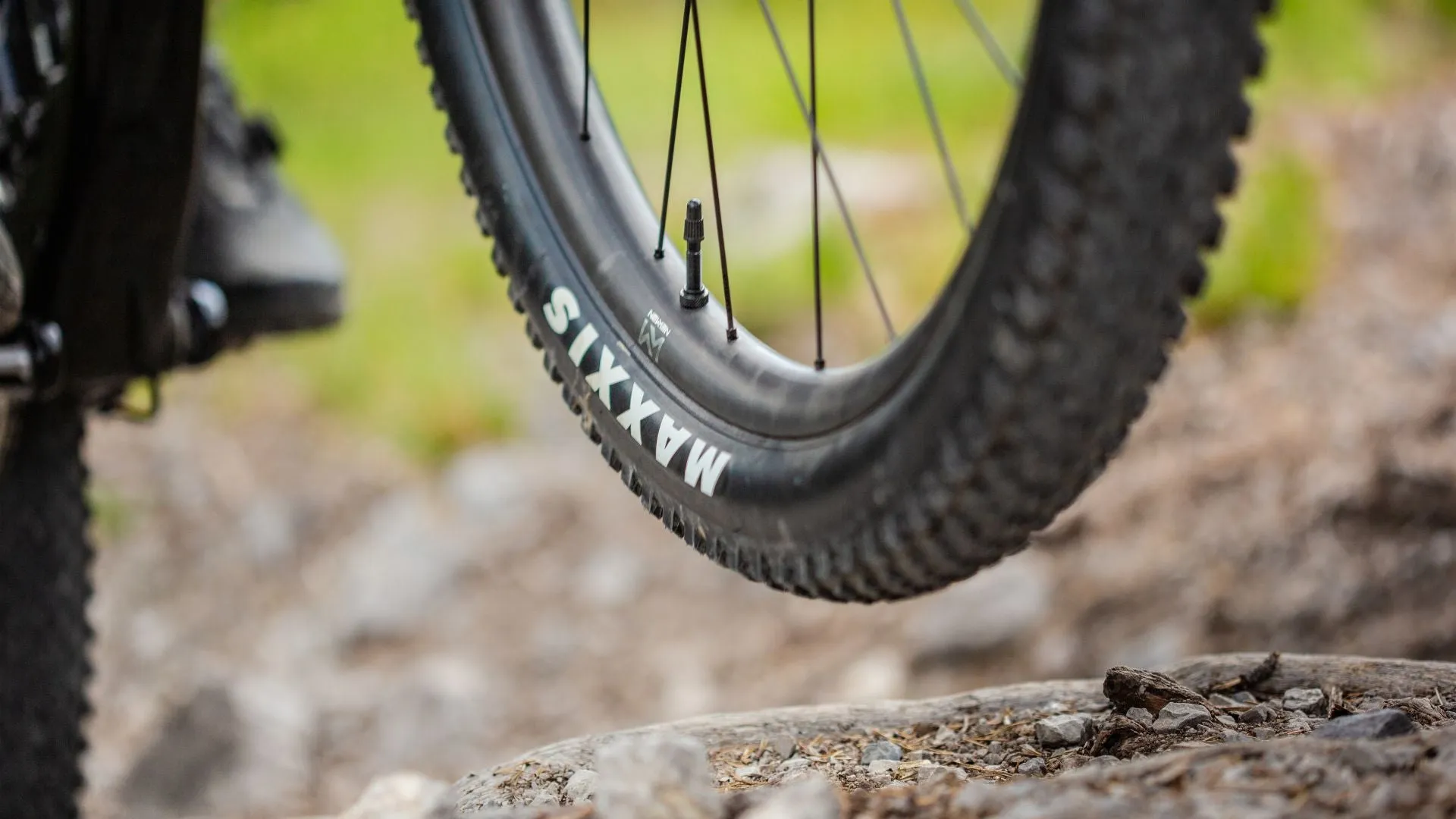 Newmen Vonao Phase 30 Base Rear - Trail