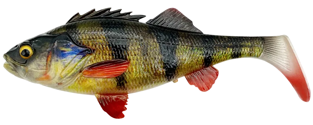 Savage Gear LB 4D Perch Shad Soft Bait