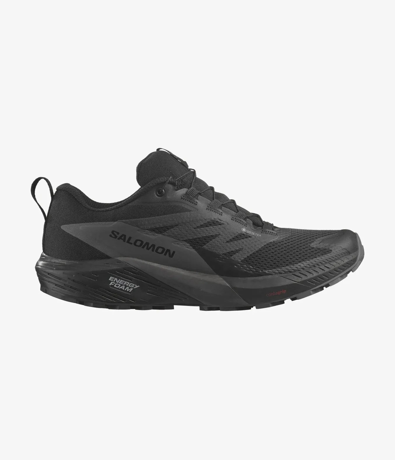 Sense Ride 5 Gore-Tex (Men's) - Past Season