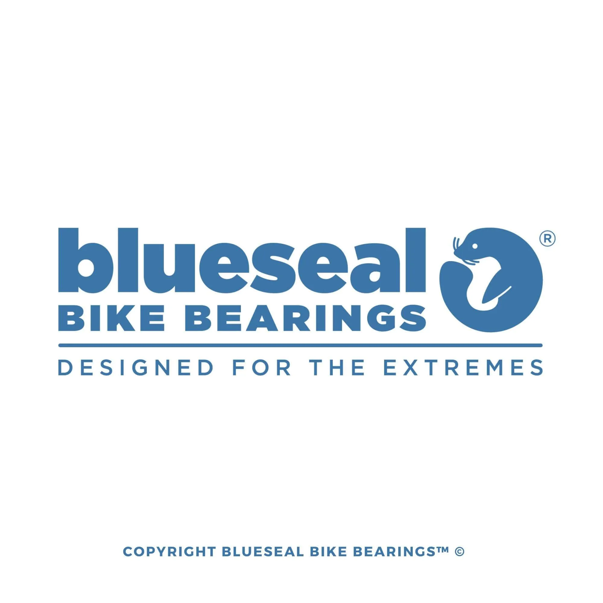 SX Trail Pivot Bearing Kit | Blueseal MAX Full Complement™