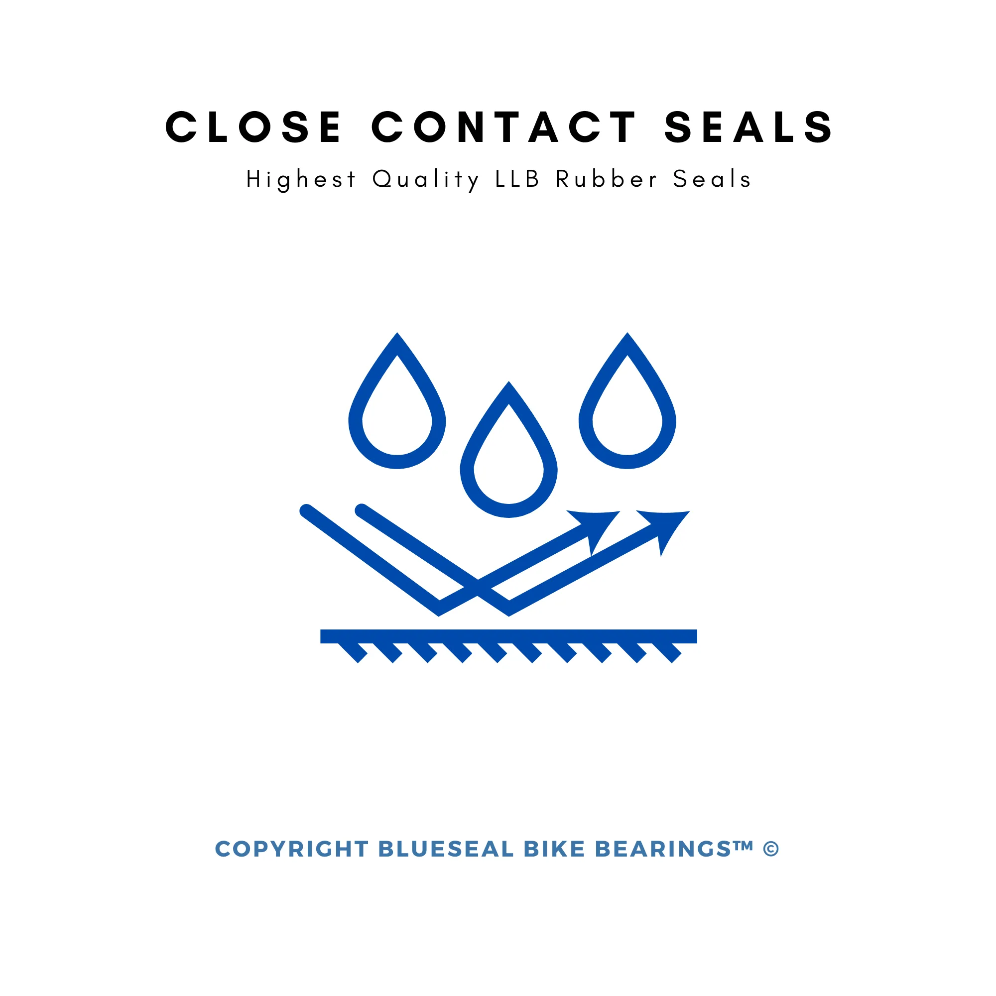 SX Trail Pivot Bearing Kit | Blueseal MAX Full Complement™