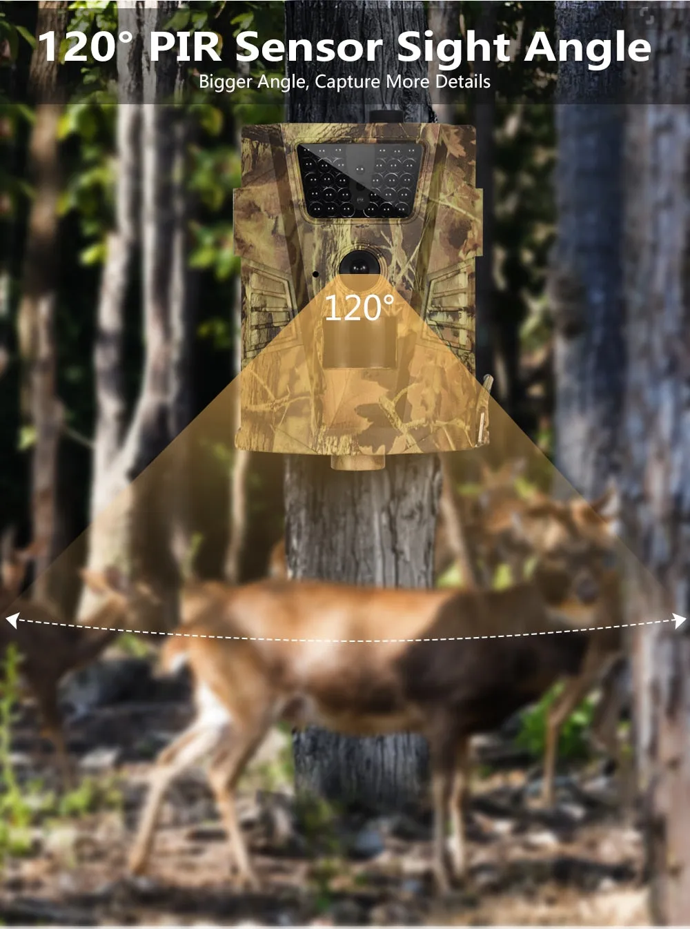 Trail Camera